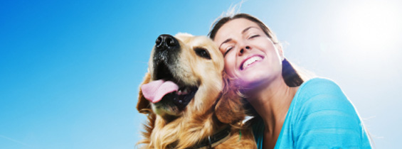Lovpligtig hundeforsikring til din hund