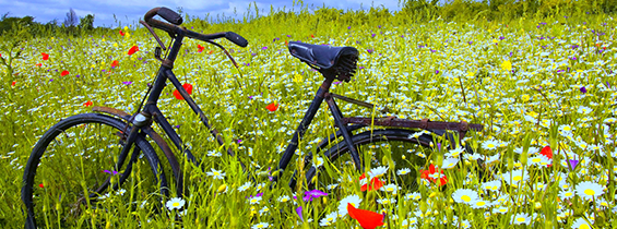 Kaskoforsikring til cykel – beskyt din cykel mod pludselige skader