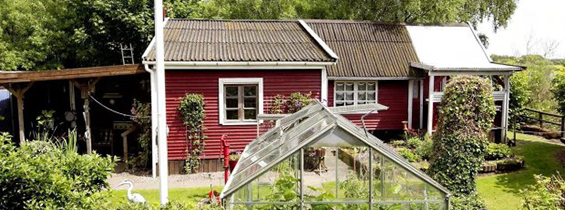 Kan du undvære forsikringen til dit kolonihavehus?
