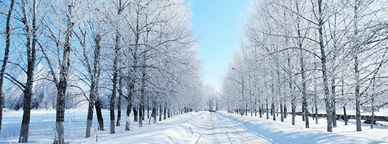 Vinter – Forsikring til MC – Forsikr din mc til vinter