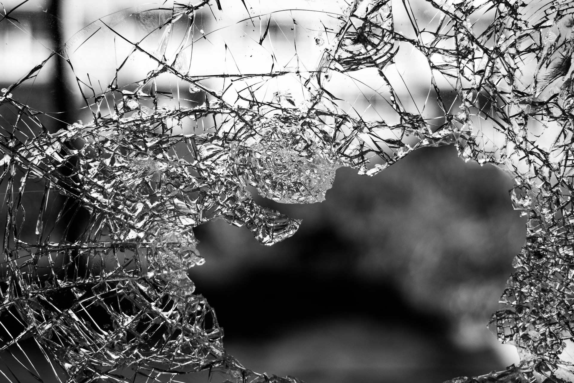 Ansvarsforsikring: Omfattende Beskyttelse